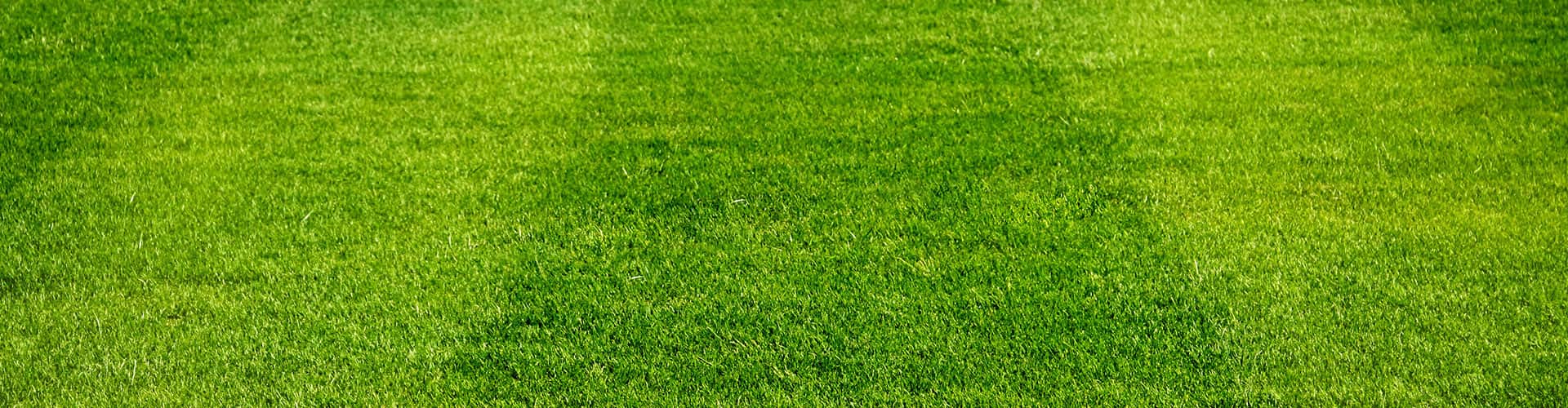 Hoosier Roots Lawn Care Background